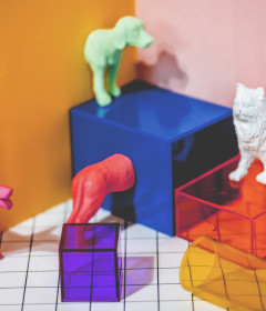 客製化服務項目